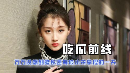 吃瓜娱乐圈 小说,娱乐圈幕后风云录